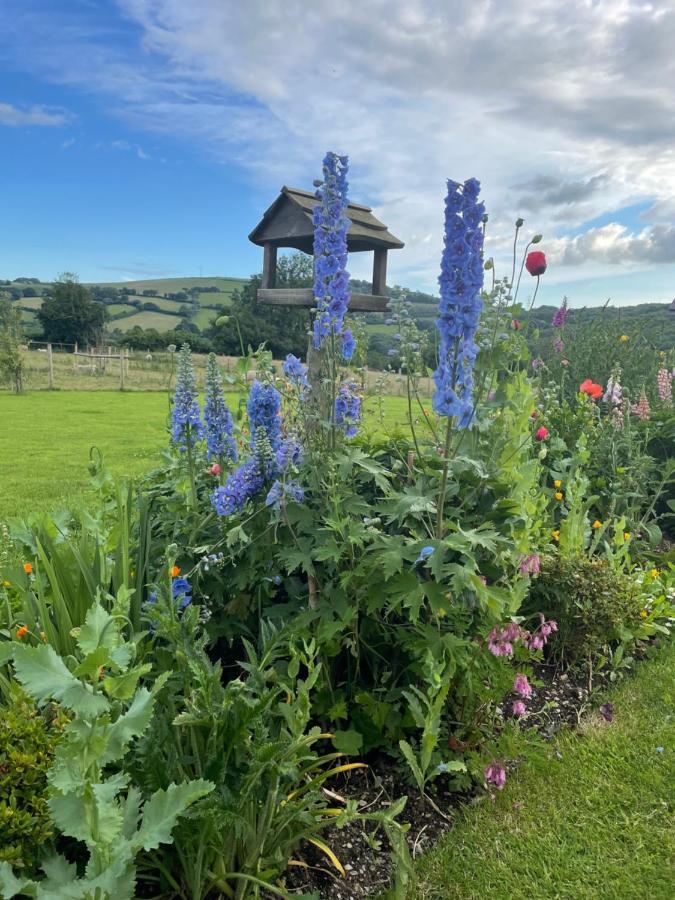 Westerley Country B & B With Exclusive Guest Lounge Бакфастли Экстерьер фото
